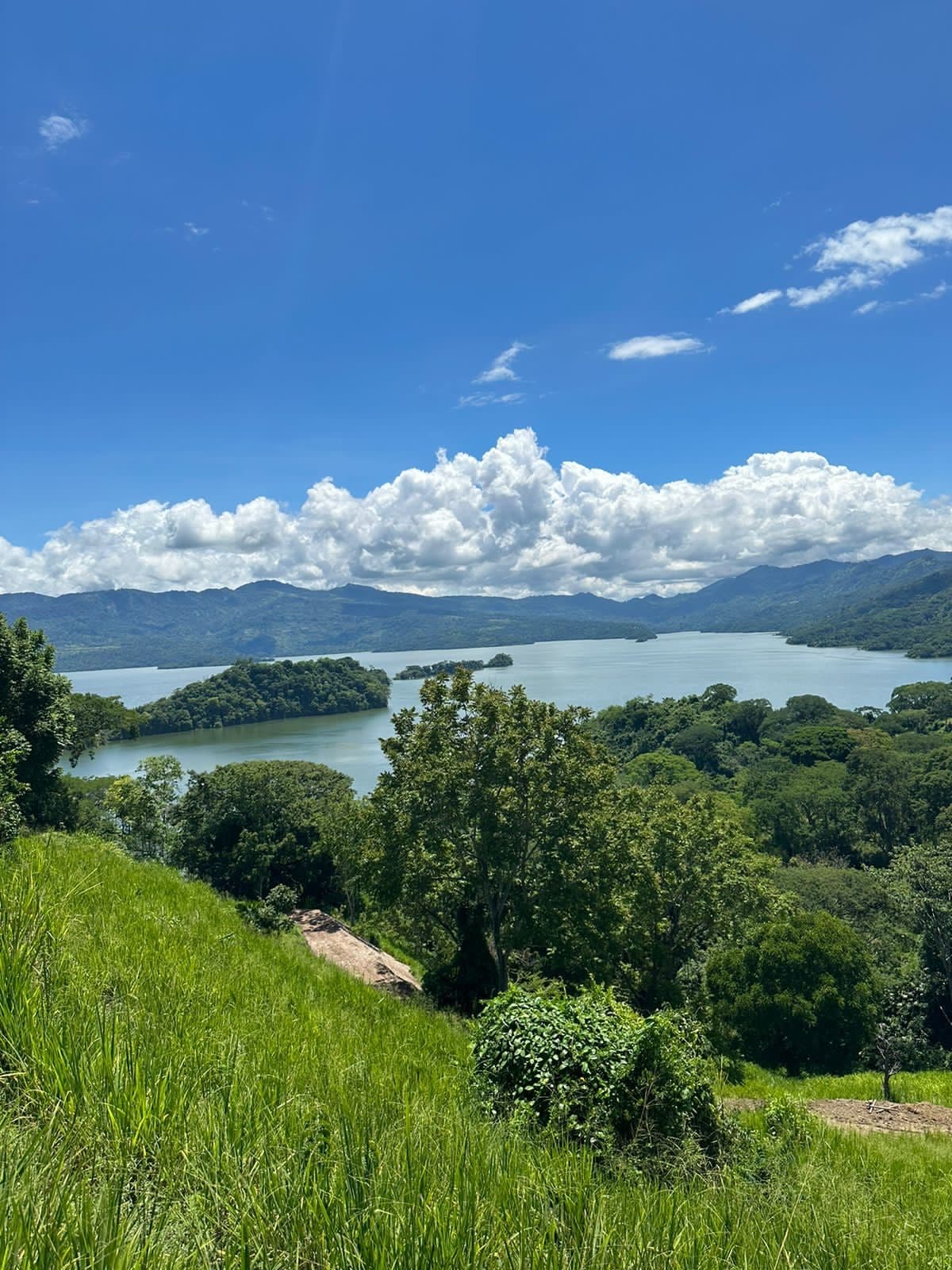 El lote sobre el Embalse Topocoro, con sus islas y las montañas al fondo