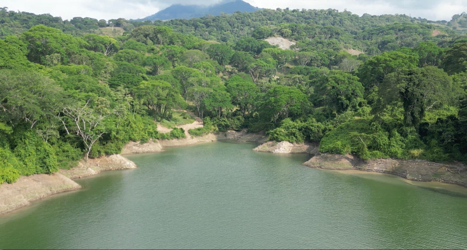 Vista aérea de una bahía del embalse rodeada de bosque