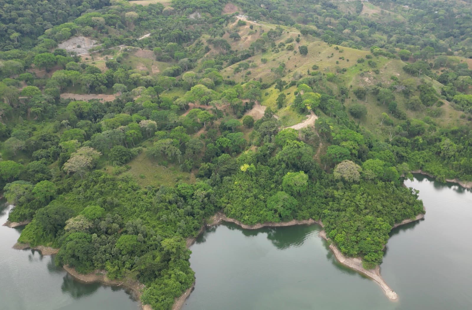 Vista aérea del lote: bosque, praderas y borde del embalse
