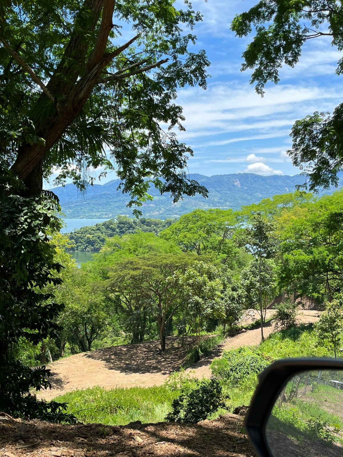 El embalse enmarcado por la vegetación del lote